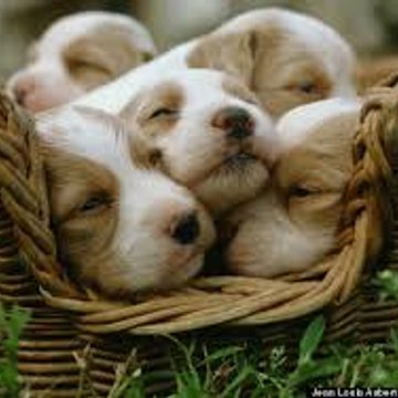 FUNNY Videos