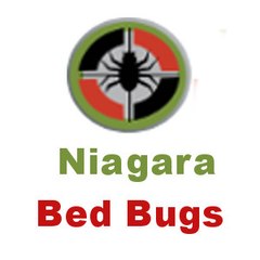 Niagara Bed Bugs