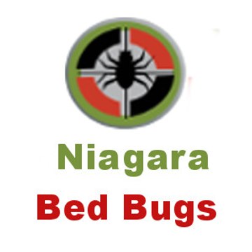 Niagara Bed Bugs