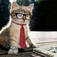 Pregações Louvores