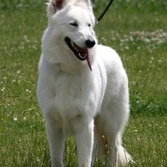 Domaine du Haut Quesnay