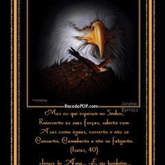 Vigilantecibele