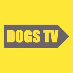 Dogs Tv