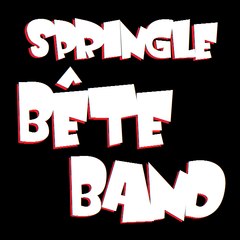 Springle Bête Band