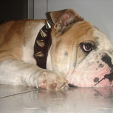 olivier