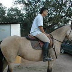 carlos