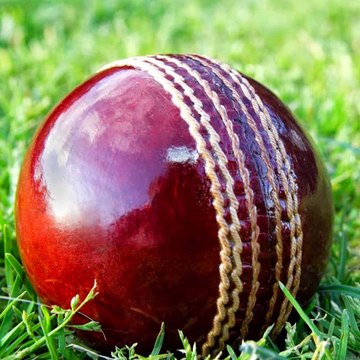 cricket fever