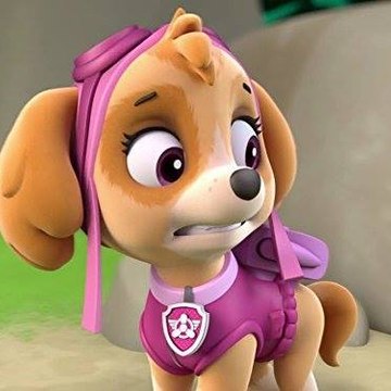 Kids Show Collection