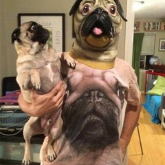 Funny TV