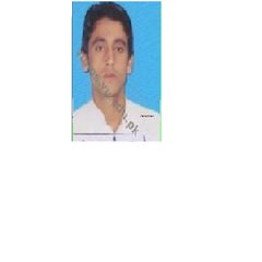 Alikhan33347