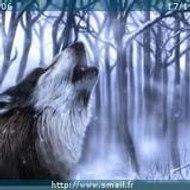 FayssnOop Agzenaye to Morrocco!