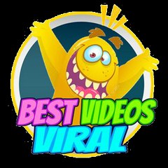 Best Viral Videos