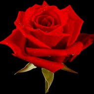 Herzliche Glückwünsche