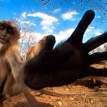 Tek Parça Belgesel izle