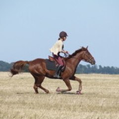 aureliel