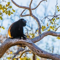 Casa's de Congo Hills