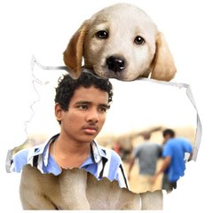 ananth kain