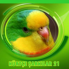 kürtçe şarkılar21