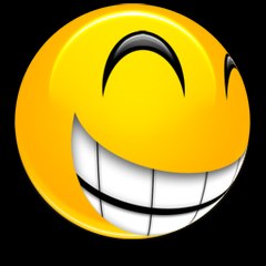 Top-Funny-Videos