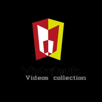 vidzihub