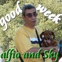 alfio m.
