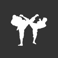 Best Movie Martial Arts Fighting Scenes