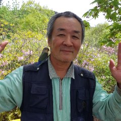 船亀