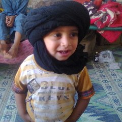 Syedwajidshah709