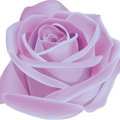 RosalieRose