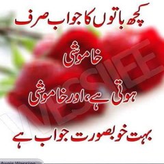 Beautiful Videos
