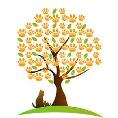 Pet Times