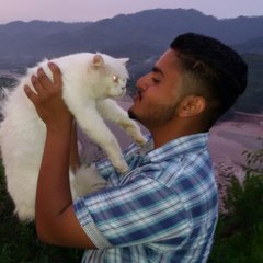 AZAZ JANJUA KAKA