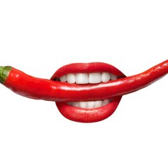 Hot Blooded Plus