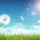 Sunnydays