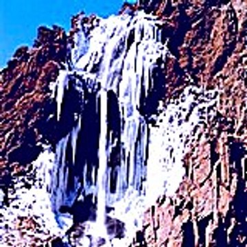 Shalondaapril 9322