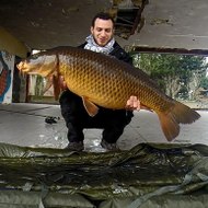 Mika M carpfish