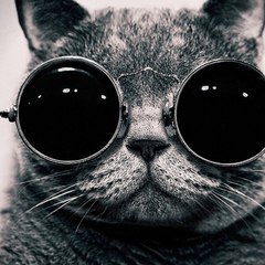 news.BTC
