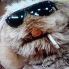 Mr.Floppy