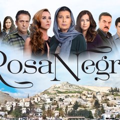 Rosa Negra