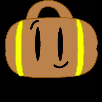 Mister Suitcase