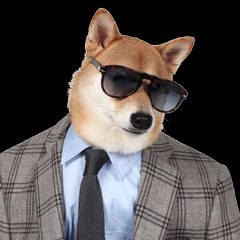 Spikeypup