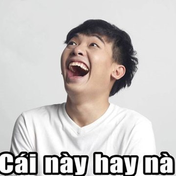 Lập trình viên(IT)
