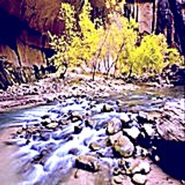 Relaya