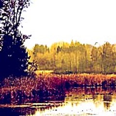 Kimuzom