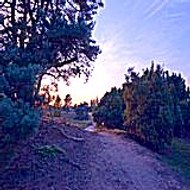 Priscillapiercyfull97