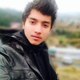 MUHAMMAD ANEES ARIF
