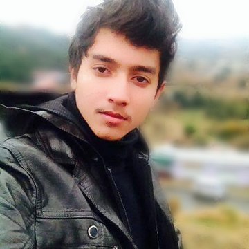 MUHAMMAD ANEES ARIF