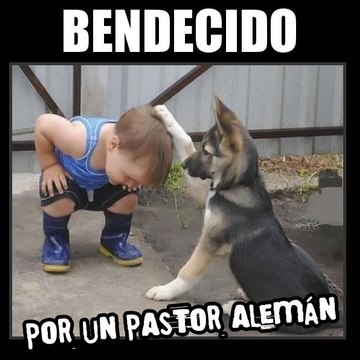 Wou3