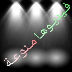 omar kaseer
