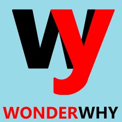 WonderWhy